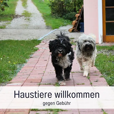 Seezeit & Seminarhaus Am Ammersee
